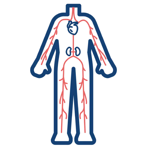 Vascular Diagnostic and Therapeutic Center