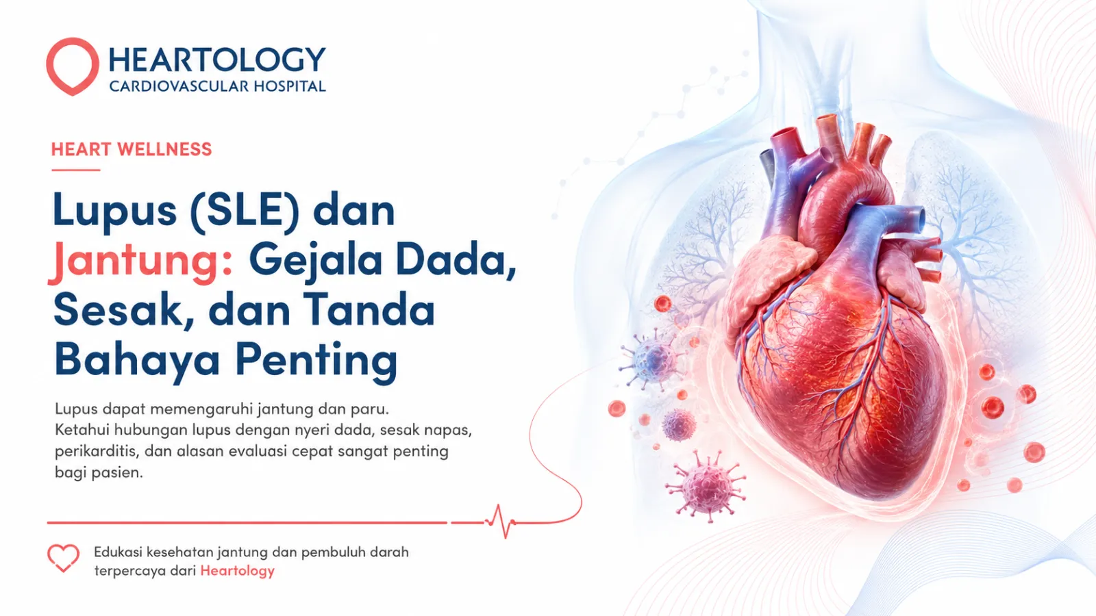 Ilustrasi jantung medis semi-realistis dengan visual halus yang menunjukkan peradangan terkait autoimun dan relevansi kardiovaskular.