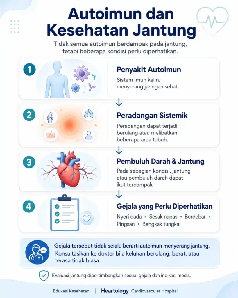 Infografis medis berbahasa Indonesia tentang autoimun dan kesehatan jantung, menampilkan alur penyakit autoimun, peradangan sistemik, dampaknya pada pembuluh darah dan jantung, serta gejala seperti nyeri dada, sesak napas, berdebar, pingsan, dan bengkak tungkai.