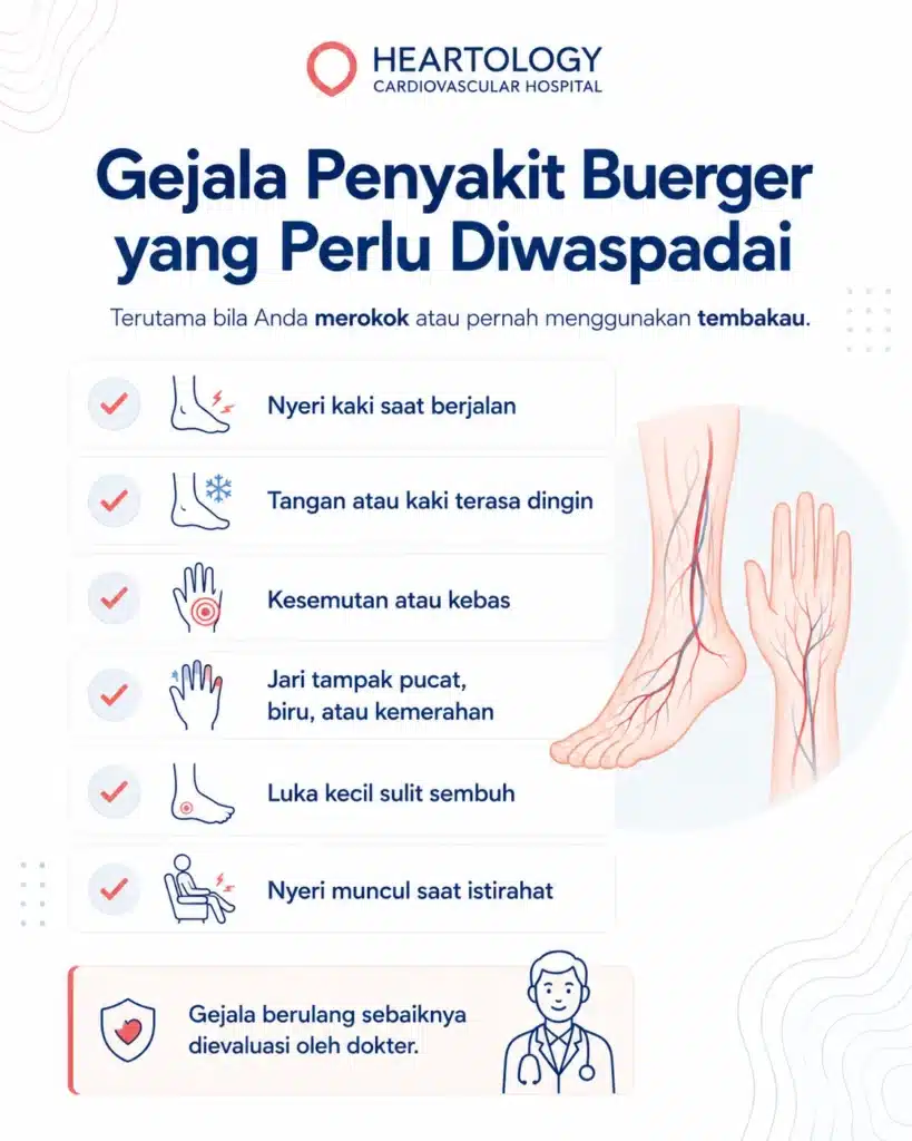 Infografis medis berbahasa Indonesia dari Heartology Cardiovascular Hospital tentang gejala Penyakit Buerger, mencakup nyeri kaki saat berjalan, tangan atau kaki terasa dingin, kesemutan atau kebas, jari tampak pucat, biru, atau kemerahan, luka kecil sulit sembuh, dan nyeri saat istirahat.