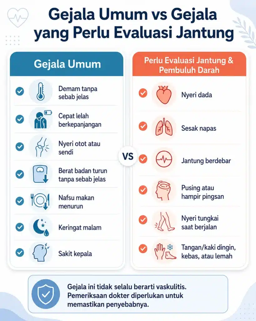 Infografis medis berbahasa Indonesia tentang vaskulitis yang membandingkan gejala umum seperti demam, cepat lelah, nyeri otot atau sendi, penurunan berat badan, nafsu makan menurun, keringat malam, dan sakit kepala dengan gejala yang perlu evaluasi jantung dan pembuluh darah seperti nyeri dada, sesak napas, jantung berdebar, pusing, nyeri tungkai saat berjalan, serta tangan atau kaki dingin, kebas, atau lemah.