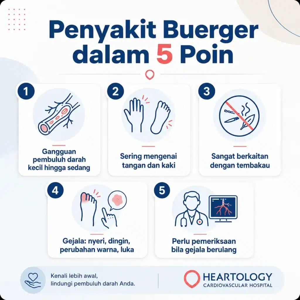Infografis penyakit Buerger dalam 5 poin yang menjelaskan gangguan pembuluh darah kecil hingga sedang, sering mengenai tangan dan kaki, sangat berkaitan dengan tembakau, gejala seperti nyeri, dingin, perubahan warna dan luka, serta anjuran pemeriksaan bila gejala berulang.