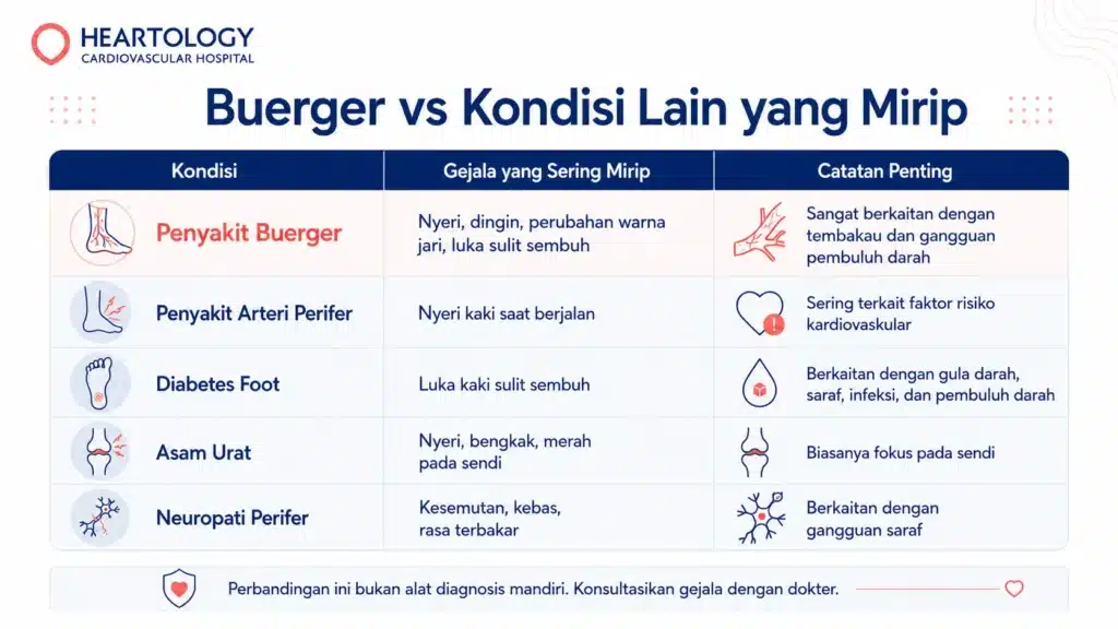 Infografis medis berbahasa Indonesia dari Heartology Cardiovascular Hospital berjudul “Buerger vs Kondisi Lain yang Mirip”, berisi perbandingan Penyakit Buerger, penyakit arteri perifer, diabetes foot, asam urat, dan neuropati perifer berdasarkan gejala yang sering mirip serta catatan penting.