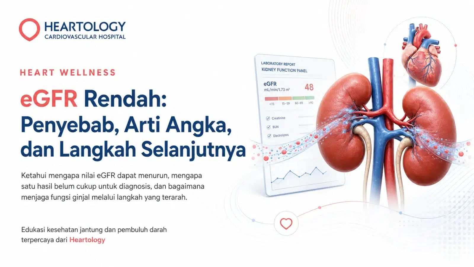 eGFR Rendah: Penyebab, Arti Angka, dan Langkah Selanjutnya