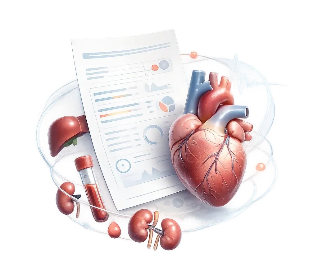 Ilustrasi laporan medical check up dengan anatomi jantung, hati, ginjal, sampel darah, grafik pemeriksaan, dan gelombang EKG.