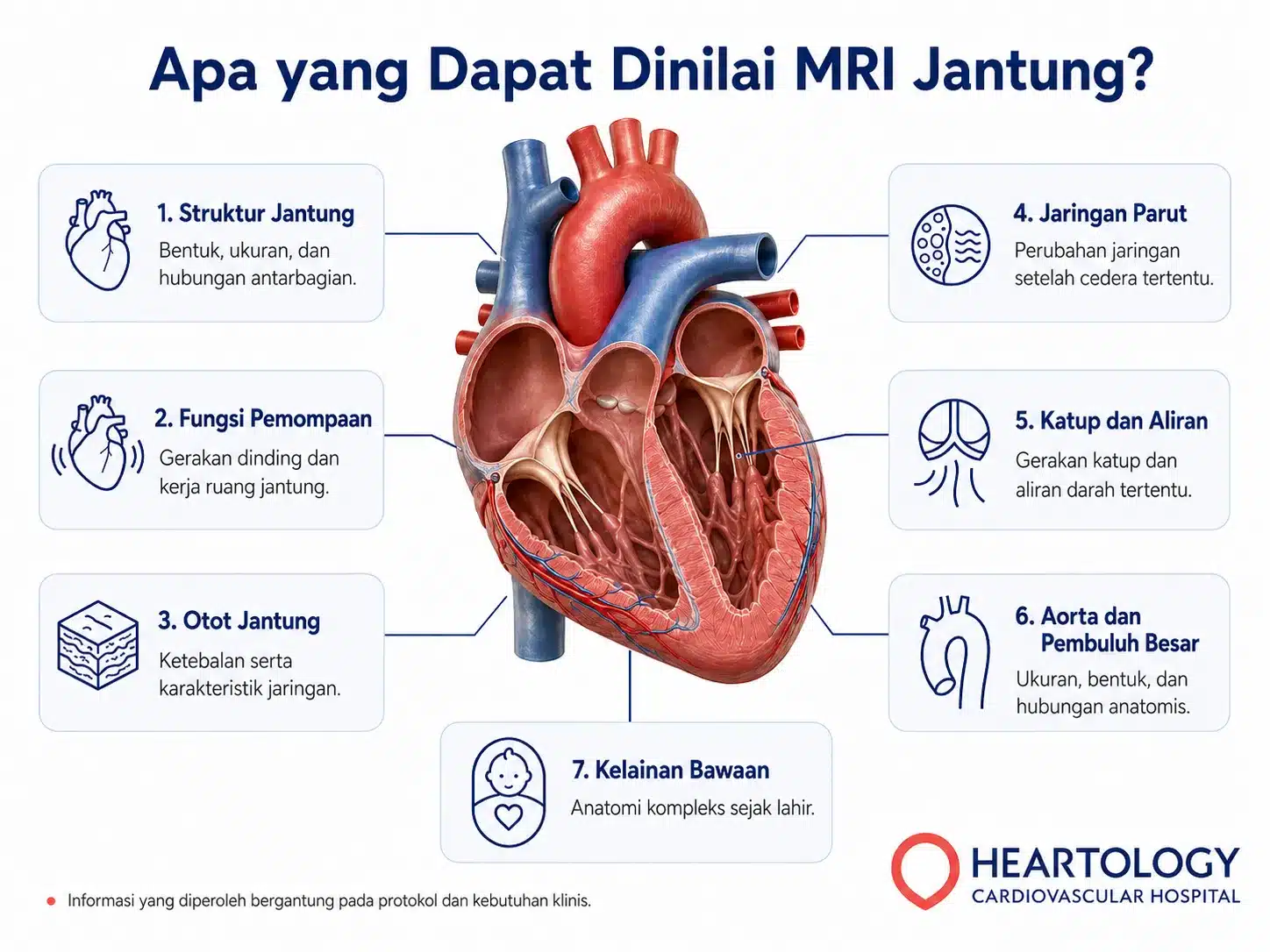 Infografik tentang apa yang dapat dinilai MRI jantung, meliputi struktur jantung, fungsi pemompaan, otot jantung, jaringan parut, katup dan aliran darah, aorta dan pembuluh besar, serta kelainan bawaan.