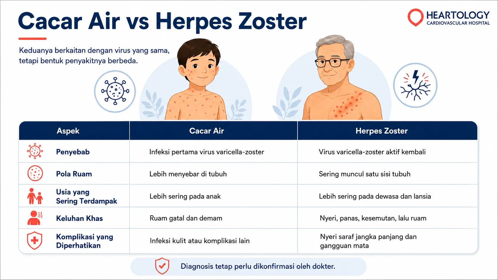 Infografis medis Heartology berjudul “Cacar Air vs Herpes Zoster” yang menjelaskan perbedaan cacar air dan herpes zoster berdasarkan penyebab, pola ruam, usia terdampak, keluhan khas, dan komplikasi seperti nyeri saraf jangka panjang atau gangguan mata.
