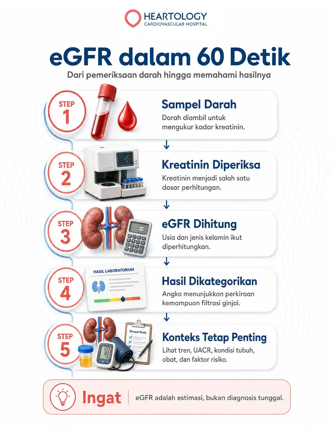 Infografik lima tahap pemeriksaan eGFR, meliputi pengambilan sampel darah, pemeriksaan kreatinin, perhitungan eGFR, pengategorian hasil, dan penilaian konteks klinis.