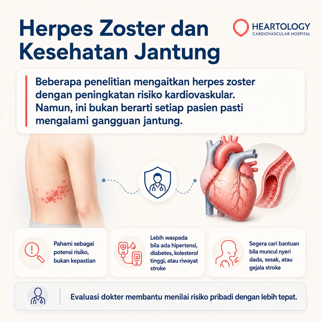 Infografis medis Heartology berjudul “Herpes Zoster dan Kesehatan Jantung” yang menjelaskan bahwa herpes zoster dapat dikaitkan dengan peningkatan risiko kardiovaskular, terutama pada pasien dengan hipertensi, diabetes, kolesterol tinggi, atau riwayat stroke.