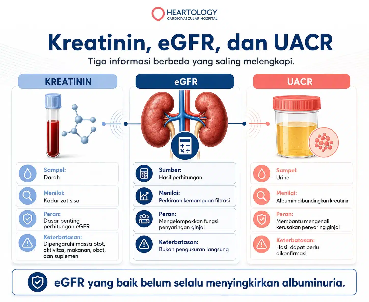 Infografik perbedaan kreatinin, eGFR, dan UACR dalam menilai kadar zat sisa, kemampuan filtrasi ginjal, dan albumin dalam urine.